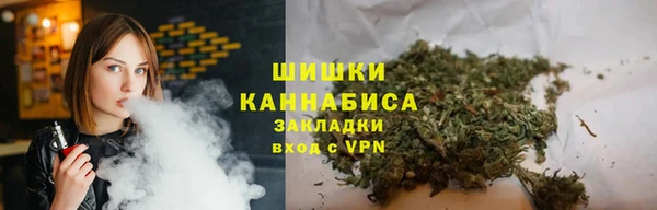 стаф Арсеньев