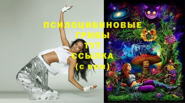 герыч Алзамай