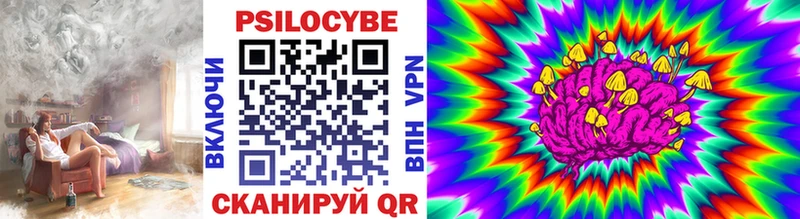 Галлюциногенные грибы Psilocybine cubensis  Купить закладки  Владикавказ 